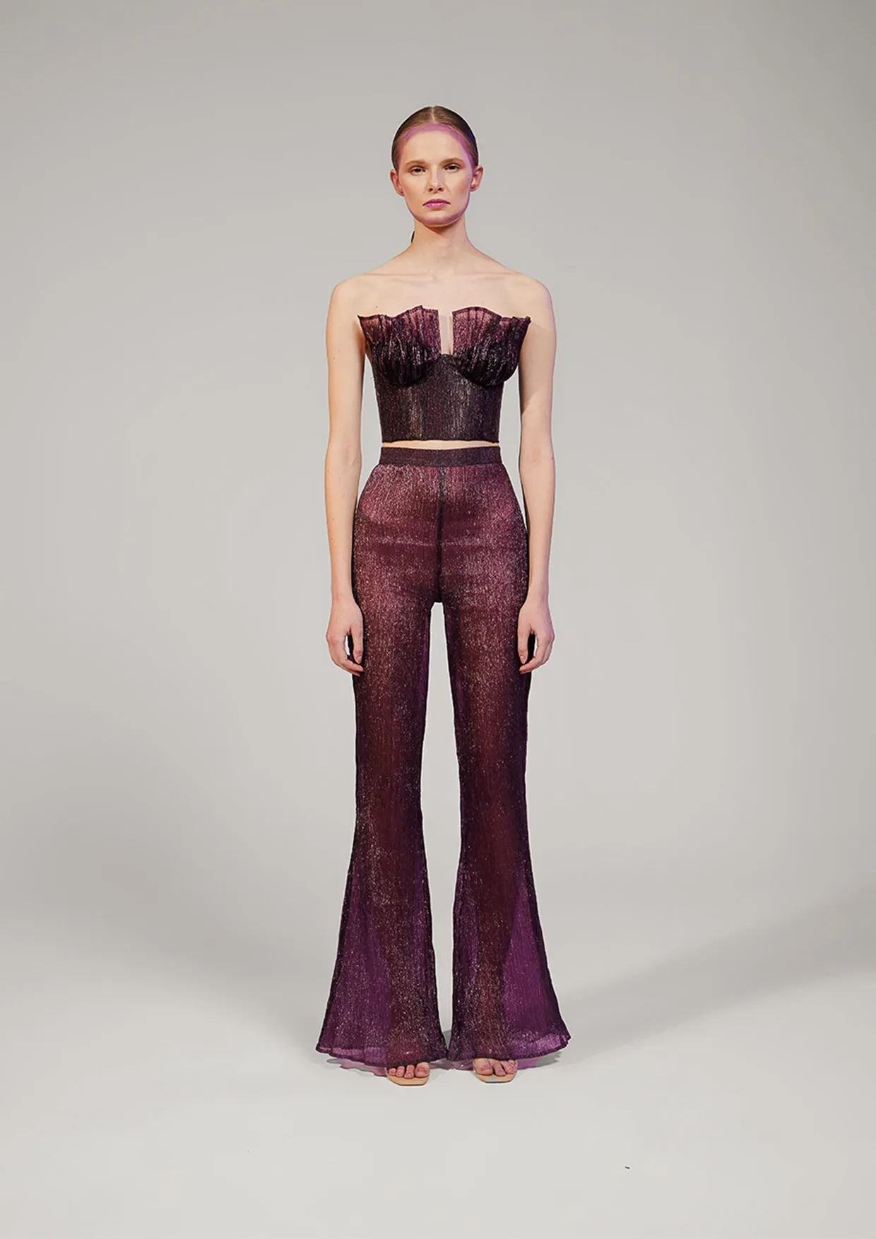 Cethosia Flared Velvet Organza Sheer Trousers