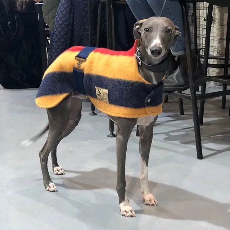 Witney Whippet Rug Coat