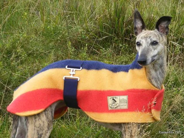 Witney Whippet Rug Coat